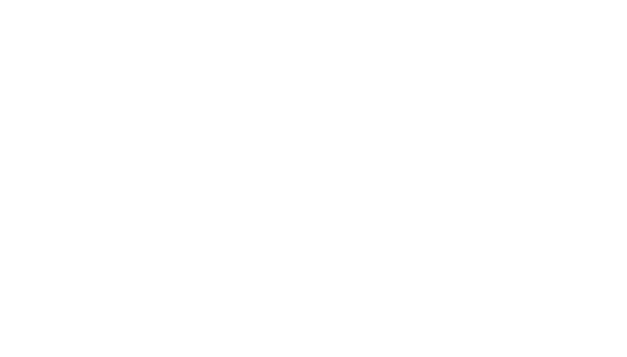 לוגו עדי